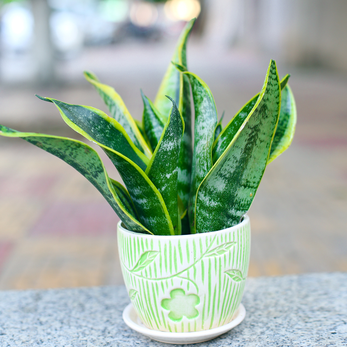 1638844882148832.jpg TB1p_NJJXXXXXaOaXXXXXXXXXXX_!!0-item_pic.jpg