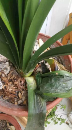 1651132391541630.png image.png