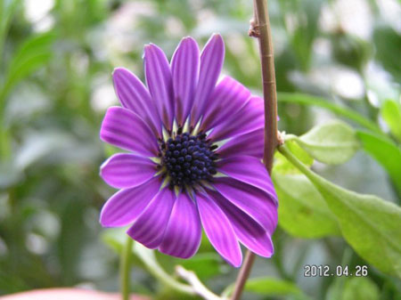 1657593919820287.jpg 1-160H91311260-L.jpg