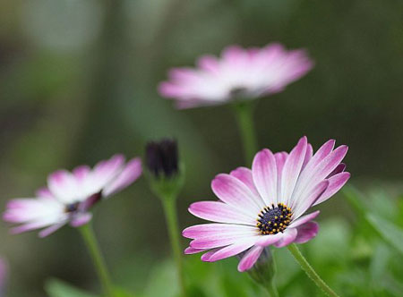 1657593979192366.jpg 1-160H9131A10-L.jpg