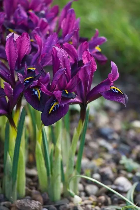 1660296526141242.jpg 1660296526141242.jpg