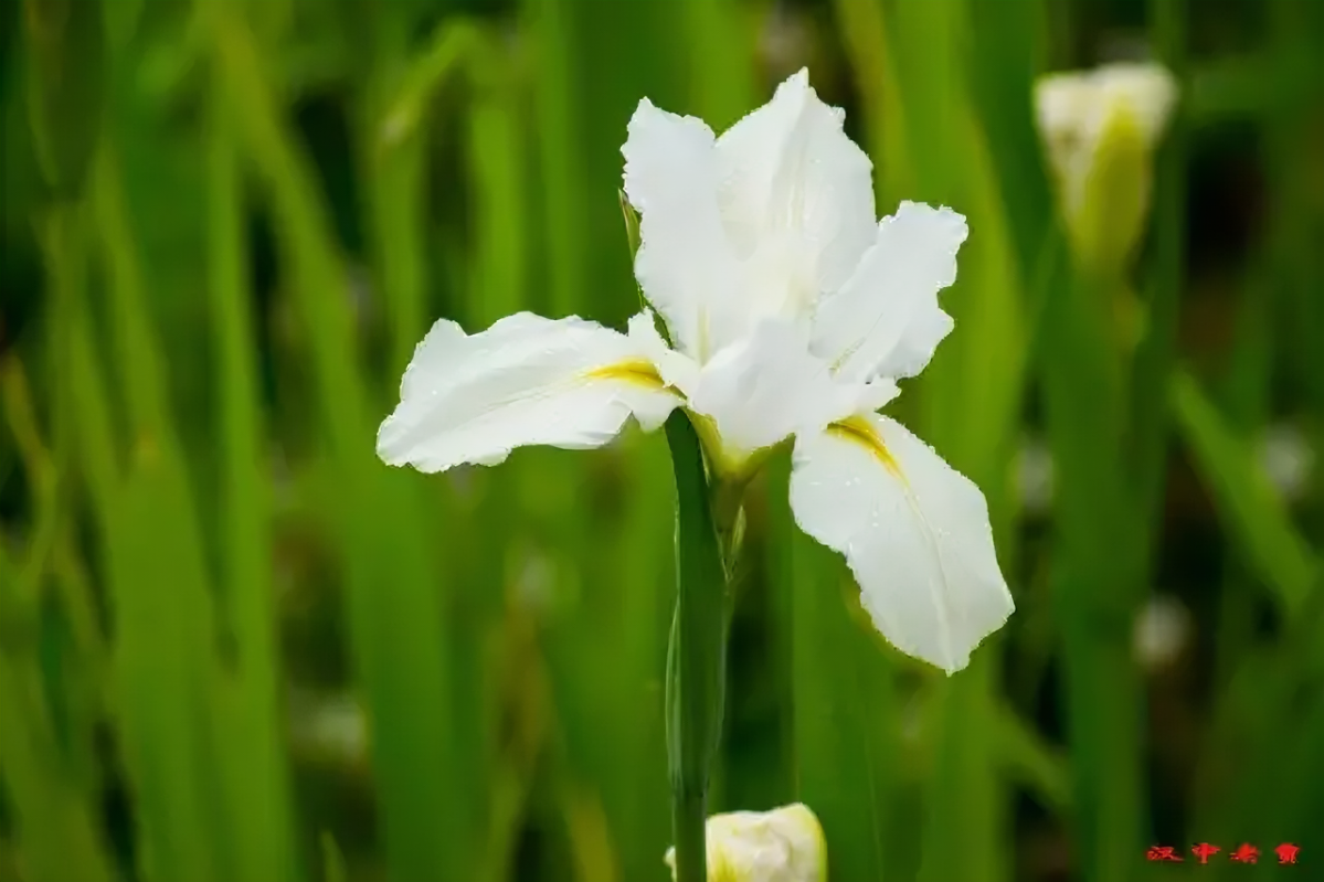 1660296661152090.png 1660296661152090.png