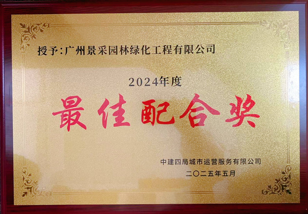 1747897011182109.png 1747897011182109.png