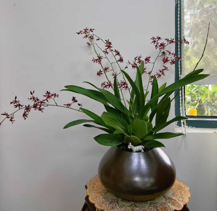 1755855736576386.png image.png