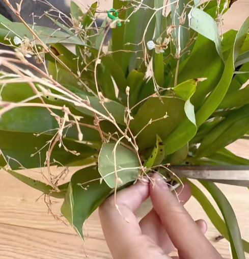 1755856580910037.png image.png