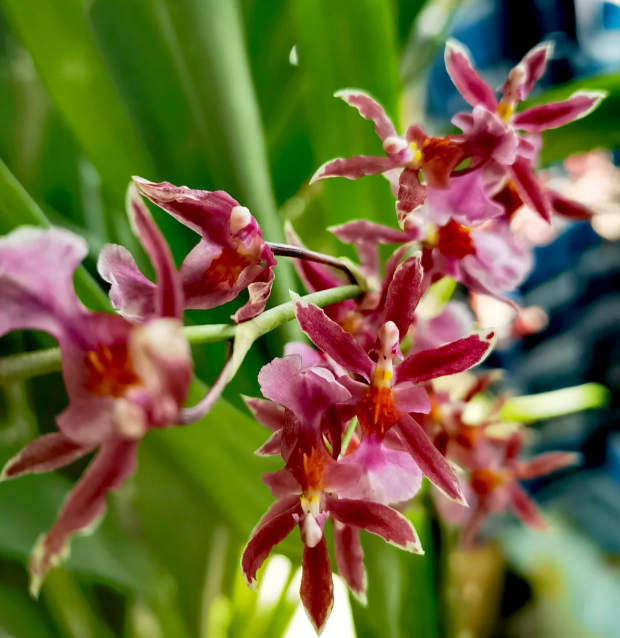 1755856742158576.png image.png