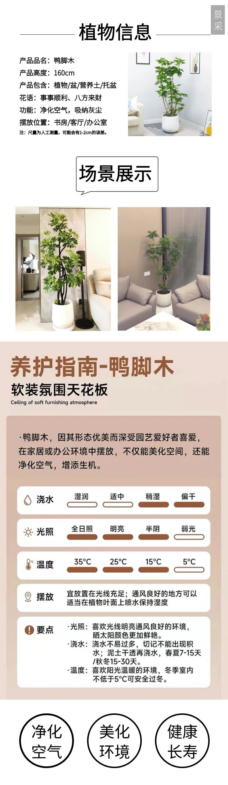 图怪兽_未命名 (3).jpg